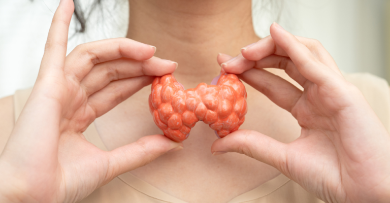 thyroid gland